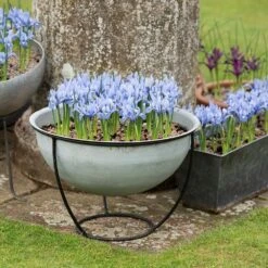 Plant Bowl And Stand - Aged Zinc -Ever Bloom Gardens pr2000033963 card7 lg