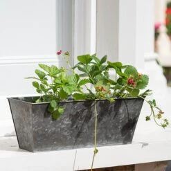 Dark Galvanised Window Trough -Ever Bloom Gardens pr2000033966 card2 lg