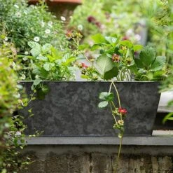 Dark Galvanised Window Trough -Ever Bloom Gardens pr2000033966 card4 lg