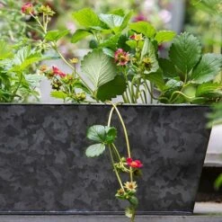 Dark Galvanised Window Trough -Ever Bloom Gardens pr2000033966 card5 lg