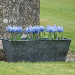 Dark Galvanised Window Trough -Ever Bloom Gardens pr2000033966 card6 lg