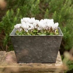 Dark Galvanised Square Planter -Ever Bloom Gardens pr2000033971 card3 lg