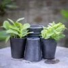 Dark Galvanised Pots - Set Of 6 1 Dark Galvanised Pots - Set Of 6 -Ever Bloom Gardens pr2000033979
