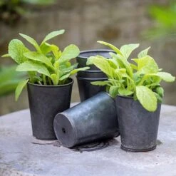 Dark Galvanised Pots - Set Of 6 -Ever Bloom Gardens pr2000033979 card2 lg