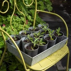 Dark Galvanised Pots - Set Of 6 -Ever Bloom Gardens pr2000033979 card4 lg