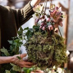 Hanging Tear Drop Basket - Slim -Ever Bloom Gardens pr2000033990 card3 lg