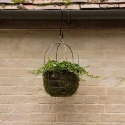 Hanging Plant Cage - Wide 9 Hanging Plant Cage - Wide -Ever Bloom Gardens pr2000033991 card4 lg