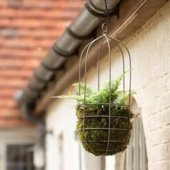 Hanging Plant Cage - Tall -Ever Bloom Gardens pr2000033992 card3 lg