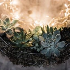 Hanging Wreath Basket -Ever Bloom Gardens pr2000033995 card3 lg