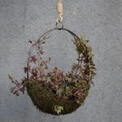 Hanging Wreath Basket -Ever Bloom Gardens pr2000033995 card8 lg