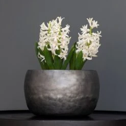 Zinc Bowls - Set Of 3 -Ever Bloom Gardens pr2000033999 card3 lg