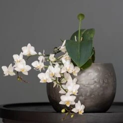 Zinc Bowls - Set Of 3 -Ever Bloom Gardens pr2000033999 card4 lg