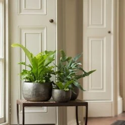 Zinc Bowls - Set Of 3 -Ever Bloom Gardens pr2000033999 card6 lg