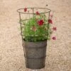 Planter With Surround Support -Ever Bloom Gardens pr2000034024
