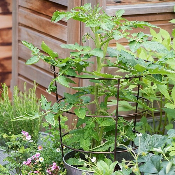 Planter With Surround Support 4 Planter With Surround Support - Image 2