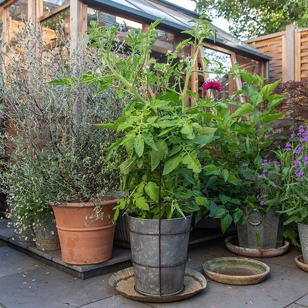 Planter With Surround Support 5 Planter With Surround Support - Image 3