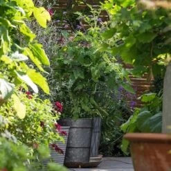 Planter With Surround Support 11 Planter With Surround Support -Ever Bloom Gardens pr2000034024 card4 lg