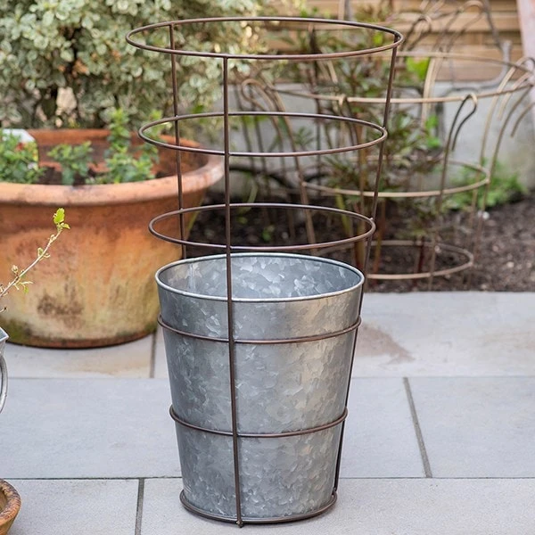 Planter With Surround Support 7 Planter With Surround Support - Image 5