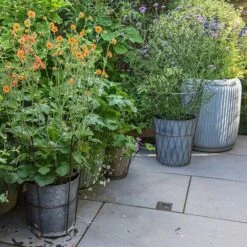 Planter In Lattice Basket Surround -Ever Bloom Gardens pr2000034026 card6 lg