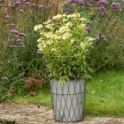 Planter In Lattice Basket Surround -Ever Bloom Gardens pr2000034026 card7 lg