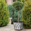 Houghton Metal Planter -Ever Bloom Gardens pr2000034027