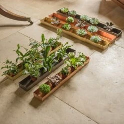 Brushed Brass Tray 7 Brushed Brass Tray -Ever Bloom Gardens pr2000034034 card3 lg