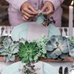 Brushed Copper Tray -Ever Bloom Gardens pr2000034036 card3 lg