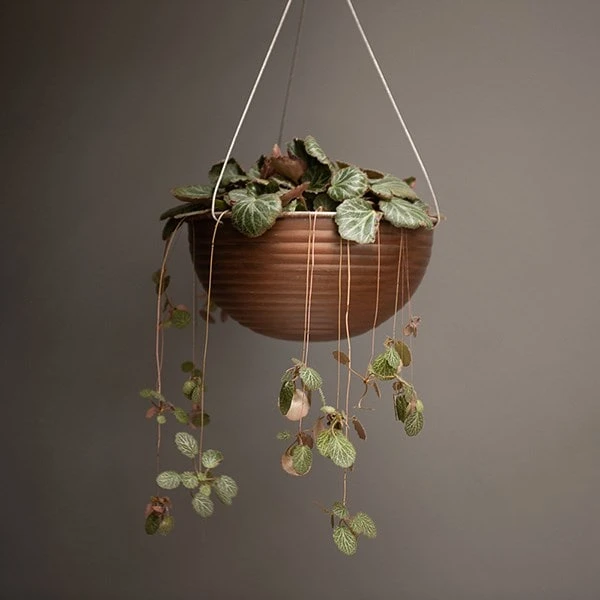 Hanging Ribbed Bowl - Dark Rust 4 Hanging Ribbed Bowl - Dark Rust - Image 2