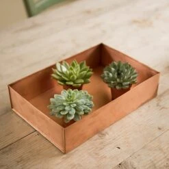 Brushed Copper Seed Tray -Ever Bloom Gardens pr2000034042 card4 lg