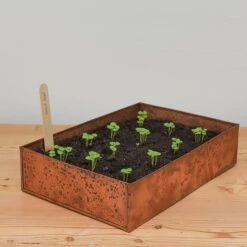 Brushed Copper Seed Tray -Ever Bloom Gardens pr2000034042 card5 lg