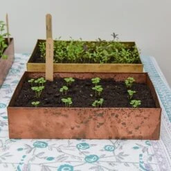 Brushed Copper Seed Tray -Ever Bloom Gardens pr2000034042 card8 lg