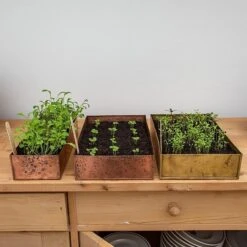Brushed Copper Seed Tray -Ever Bloom Gardens pr2000034042 card9 lg