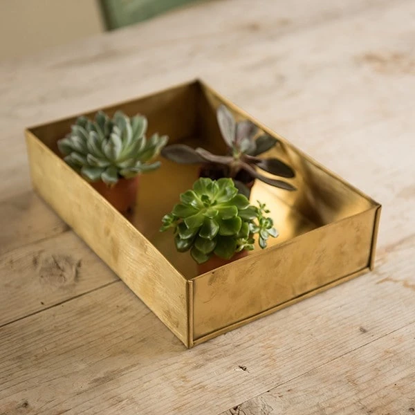 Brushed Brass Seed Tray 8 Brushed Brass Seed Tray - Image 6