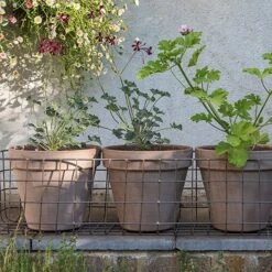 Pot Window Basket 7 Pot Window Basket -Ever Bloom Gardens pr2000034049 card3 lg