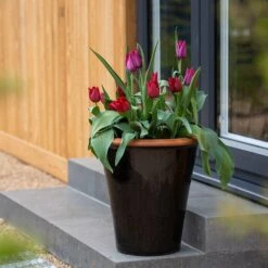 Glazed Terracotta Pot - Black -Ever Bloom Gardens pr2000034127 card11 lg