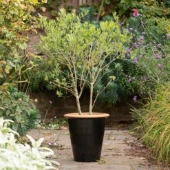 Glazed Terracotta Pot - Black -Ever Bloom Gardens pr2000034127 card4 lg