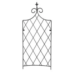 Lattice Trellis