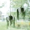 White Sphere Air Plant Hanging Planter -Ever Bloom Gardens pr2000035489