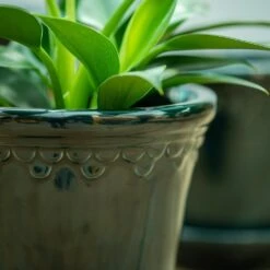 Scalloped Tapered Plant Pot With Saucer - Dark Blue -Ever Bloom Gardens pr2000035580 card4 lg