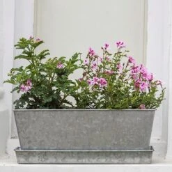 Galvanised Window Trough -Ever Bloom Gardens pr2000035781 card3 lg