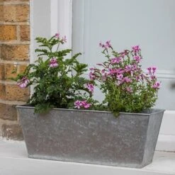 Galvanised Window Trough -Ever Bloom Gardens pr2000035781 card6 lg