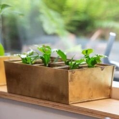 Brass Tray With 6 Brass Grow Pods -Ever Bloom Gardens pr2000037485 card4 lg