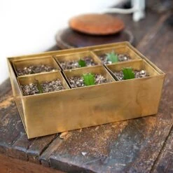 Brass Tray With 6 Brass Grow Pods -Ever Bloom Gardens pr2000037485 card7 lg