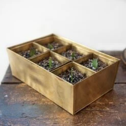 Brass Tray With 6 Brass Grow Pods -Ever Bloom Gardens pr2000037485 card9 lg