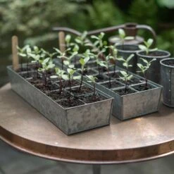 Galvanised Tray With 12 Grow Pods