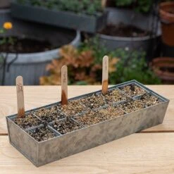 Galvanised Tray With 12 Grow Pods -Ever Bloom Gardens pr2000037486 card7 lg