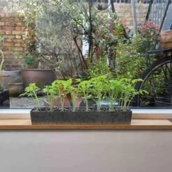 Galvanised Tray With 16 Grow Pods -Ever Bloom Gardens pr2000037487 card8 lg