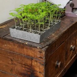 Galvanised Tray With 24 Grow Pods -Ever Bloom Gardens pr2000037488 card5 lg