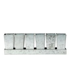 Galvanised Tray With 6 Tall Root Trainer Pods -Ever Bloom Gardens pr2000037489 card3 lg