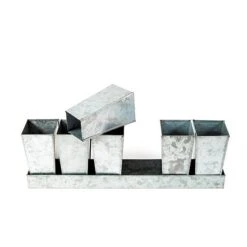 Galvanised Tray With 6 Tall Root Trainer Pods -Ever Bloom Gardens pr2000037489 card4 lg